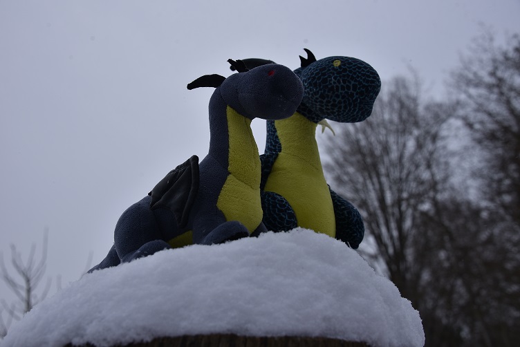 Kiwii und Luna genießen die kalte Luft