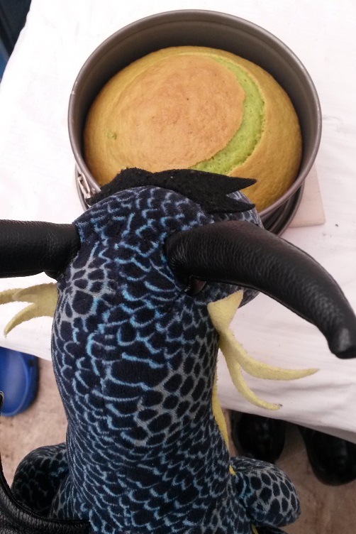 Kiwii schaut den gebackenen Kuchen an
