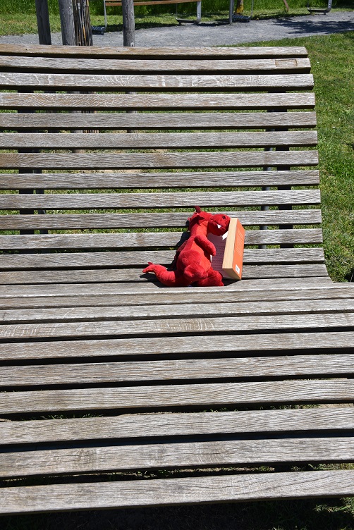 Ruby liegt auf der Sonnenliege und liest ein Buch