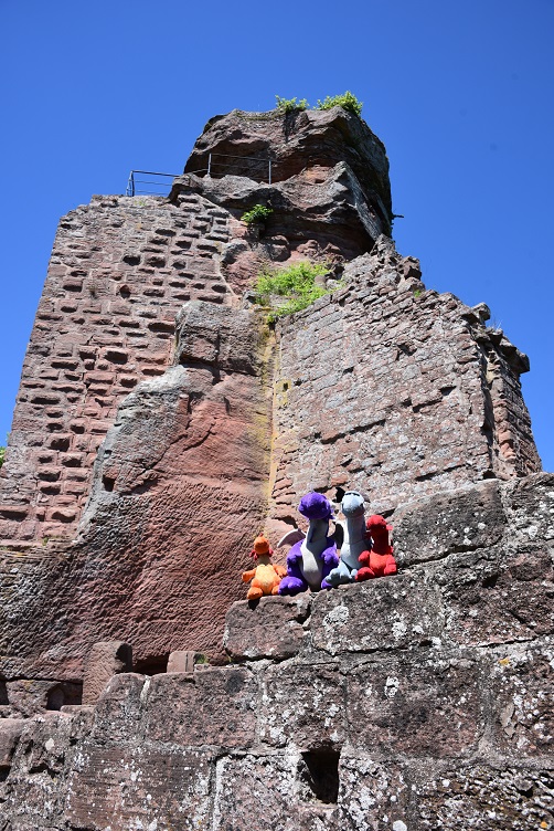 Die Drachis vor dem Turm den Hohenburg