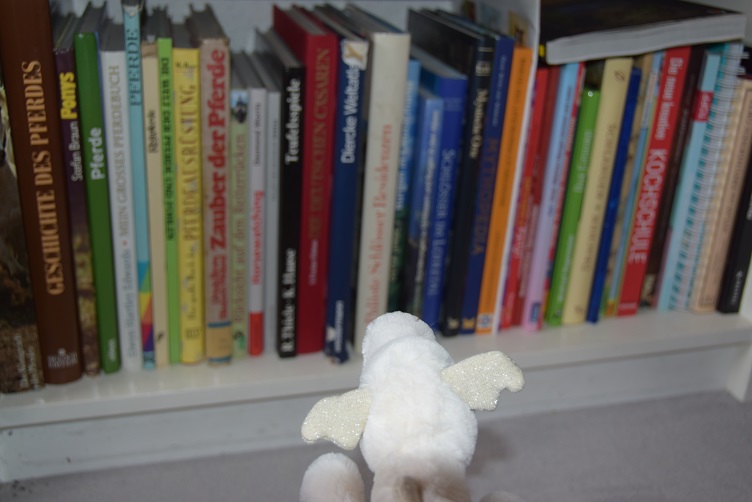 Frosty schaut das Bücherregal an