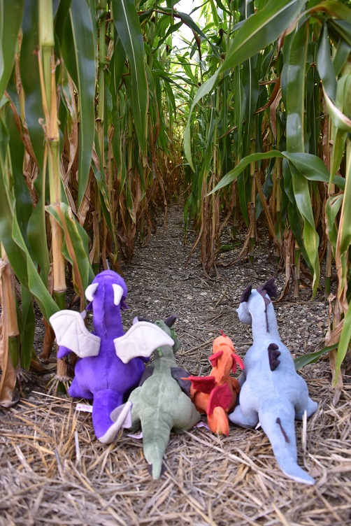 Kleine Wege im Maislabyrinth