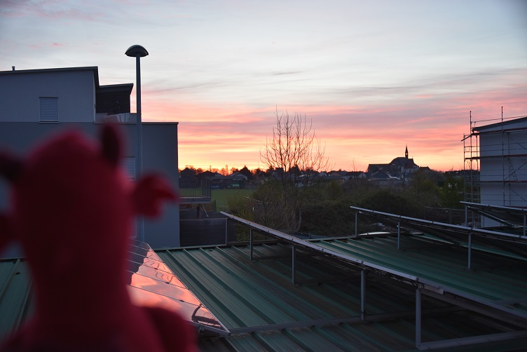 Ruby schaut den Sonnenaufgang an