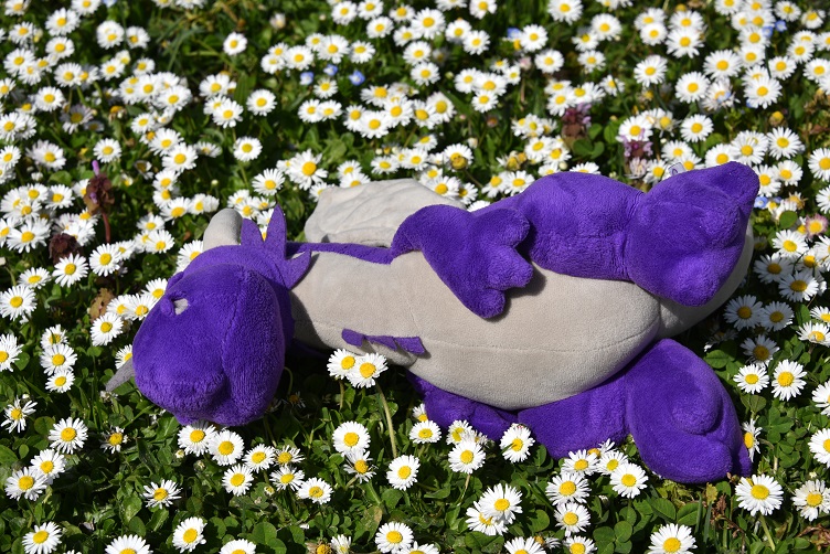 Violetta liegt auf der Gänseblümchenwiese