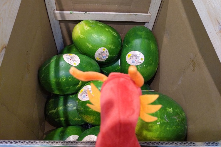 Eldur betrachtet Melonen