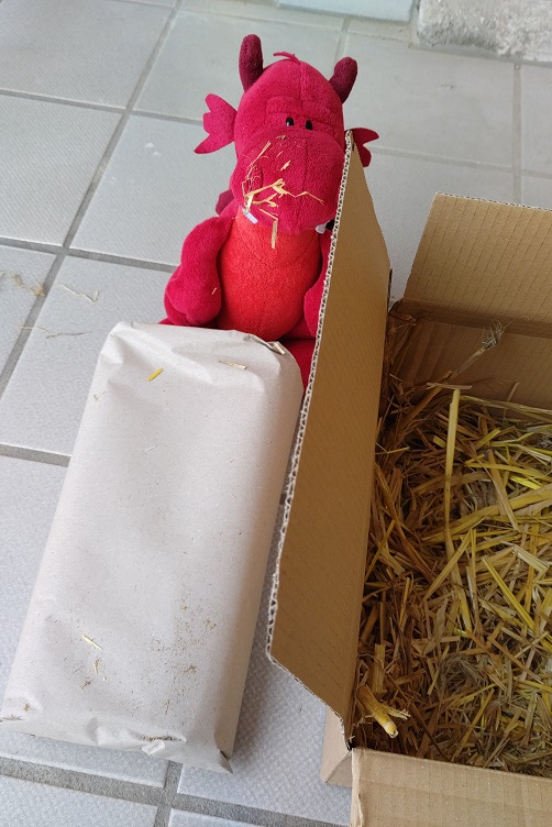 Ruby holt das Pflanzenpaket aus dem Paket