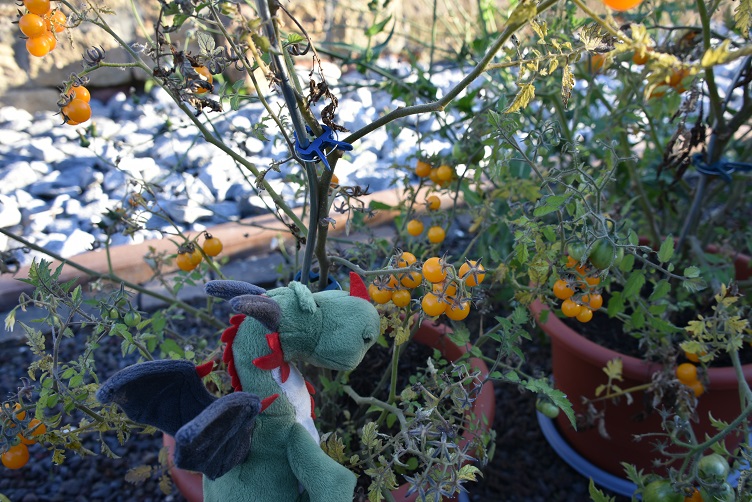 Flora mit Tomatenpflanze