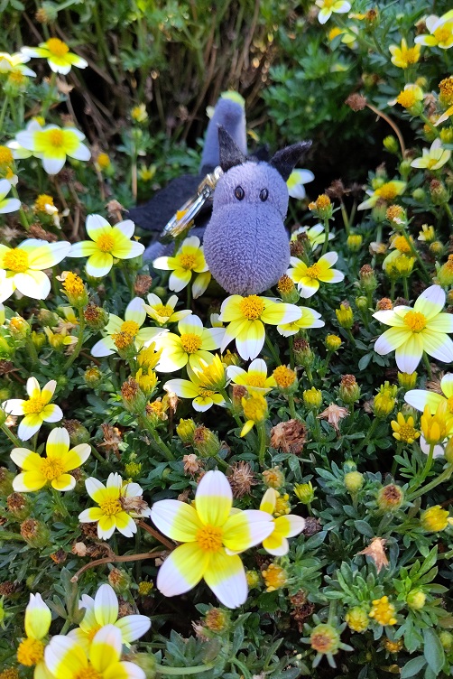 Lina mit kleinen Blumen