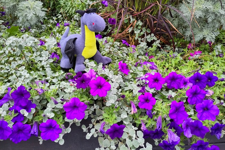 Luna mit violettastischen Blumen