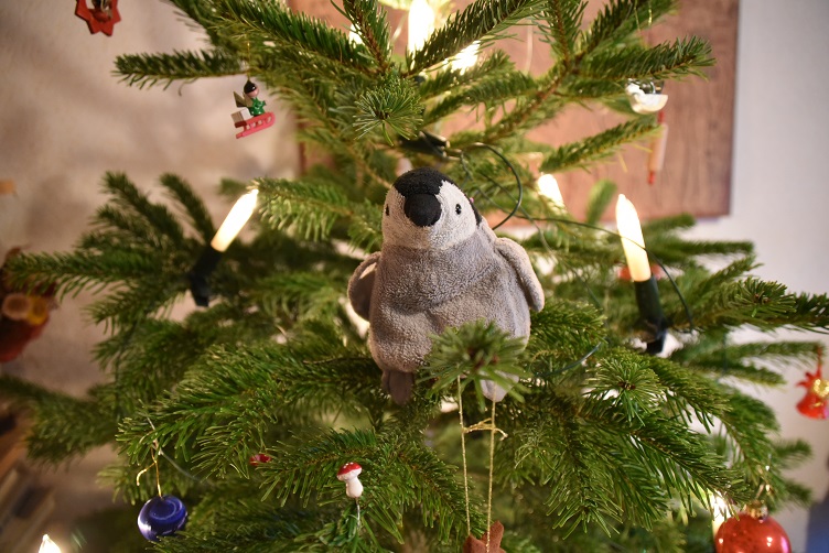 Pimmi im Weihnachtsbaum