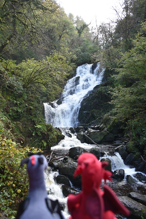 Torc Wasserfall