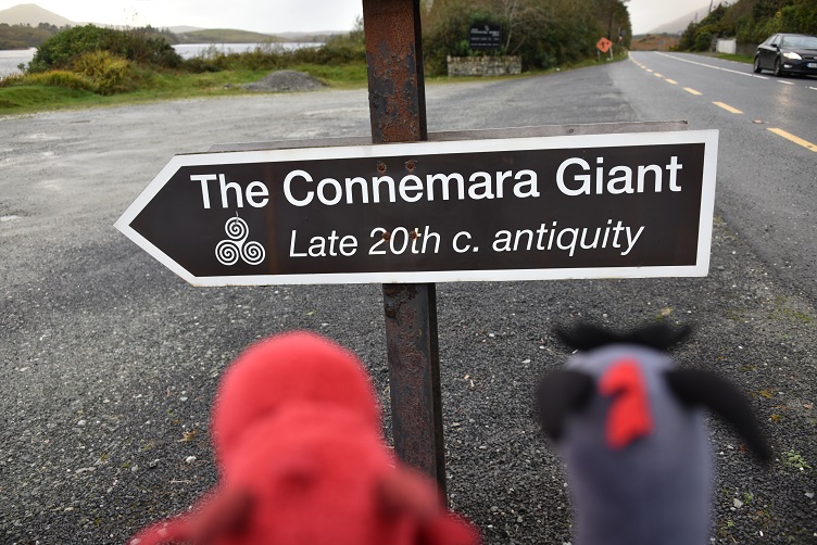 Connemara Giant