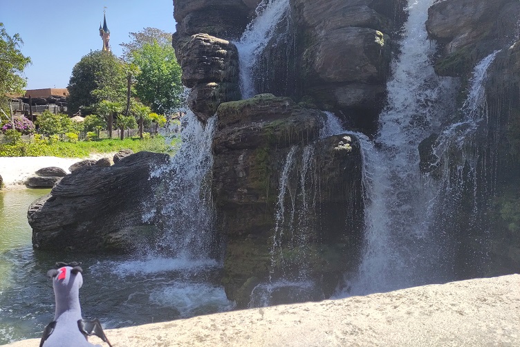 Wasser plätschert über Felsen