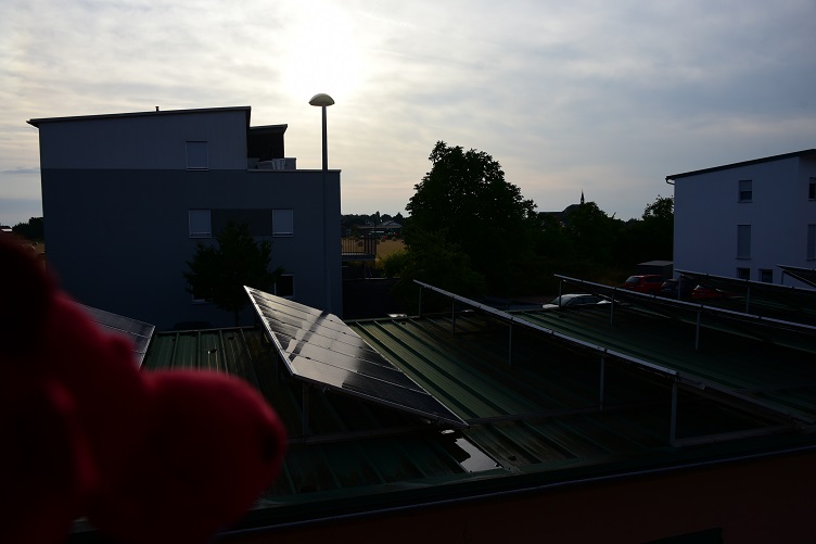 Ruby auf dem Balkon