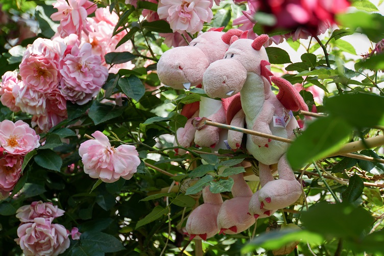 Fleur und Bella im Rosenbusch