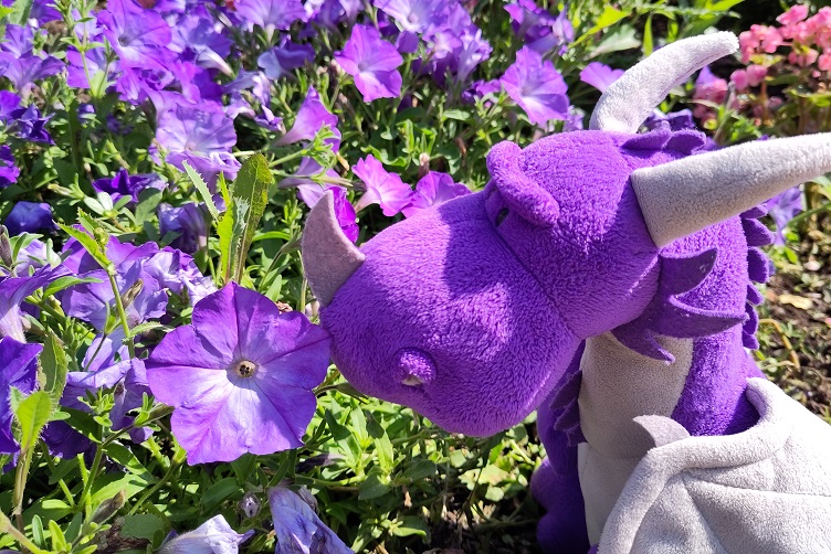 Violetta mit der violettastischsten Blume