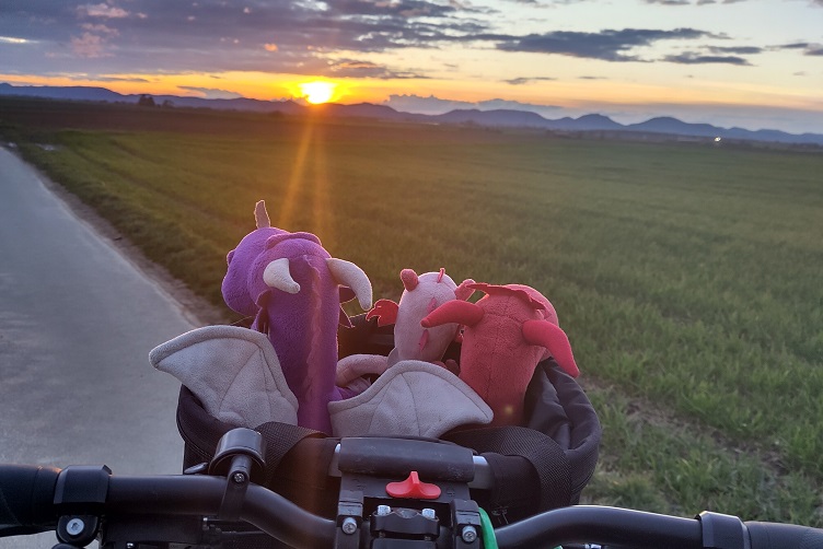 Radtour in den Sonnenuntergang