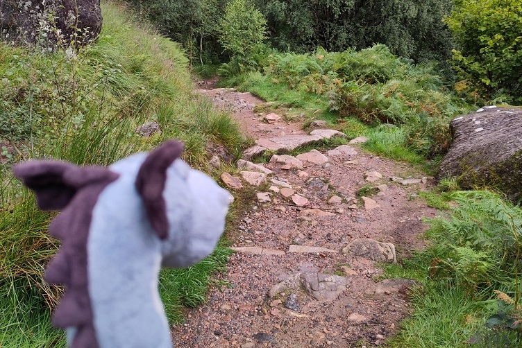 Wanderung zu den Steall Falls