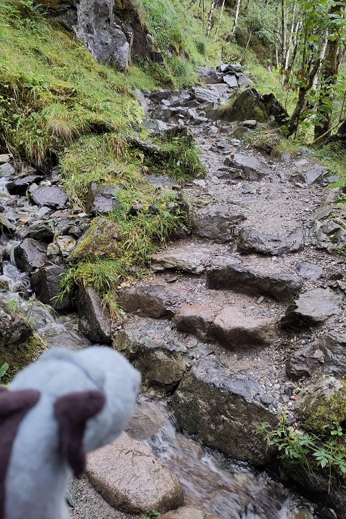 Wanderung zu den Steall Falls