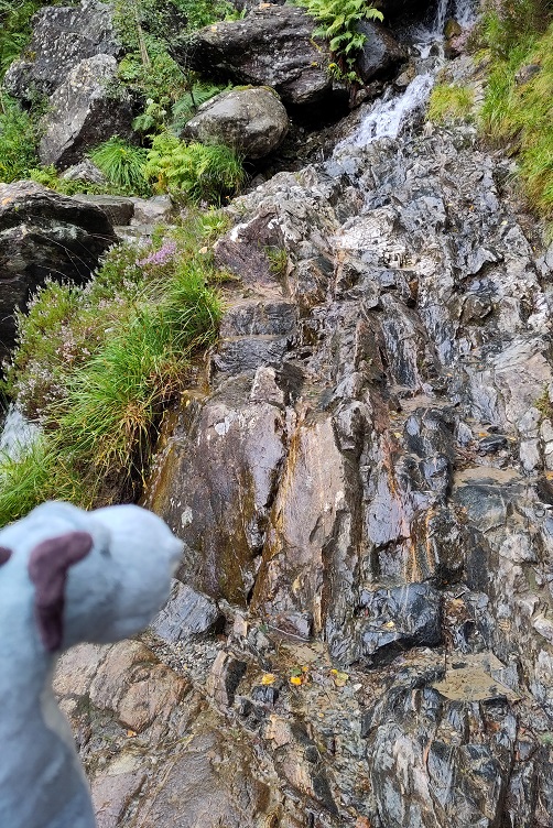 Wanderung zu den Steall Falls