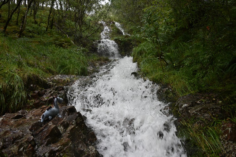 Wanderung zu den Steall Falls