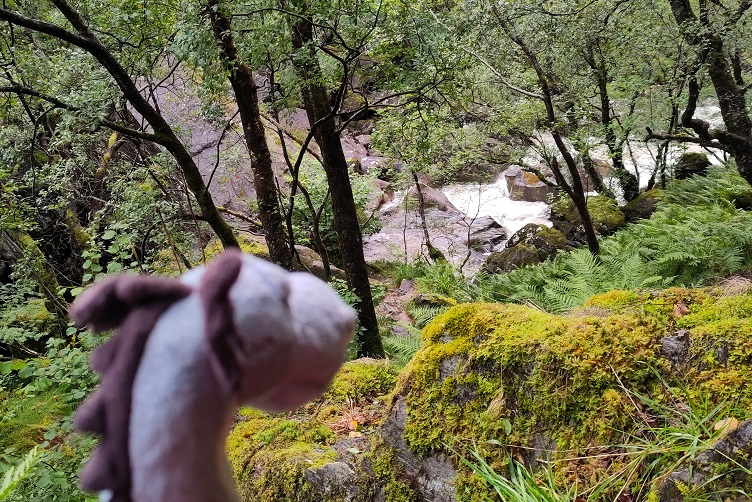 Wanderung zu den Steall Falls