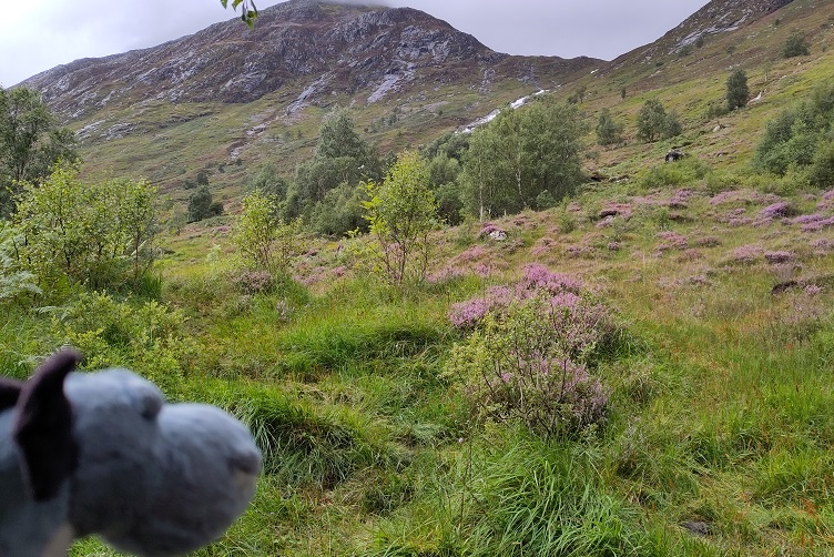 Wanderung zu den Steall Falls