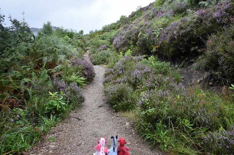 Wanderung auf dem Viaduct Trail