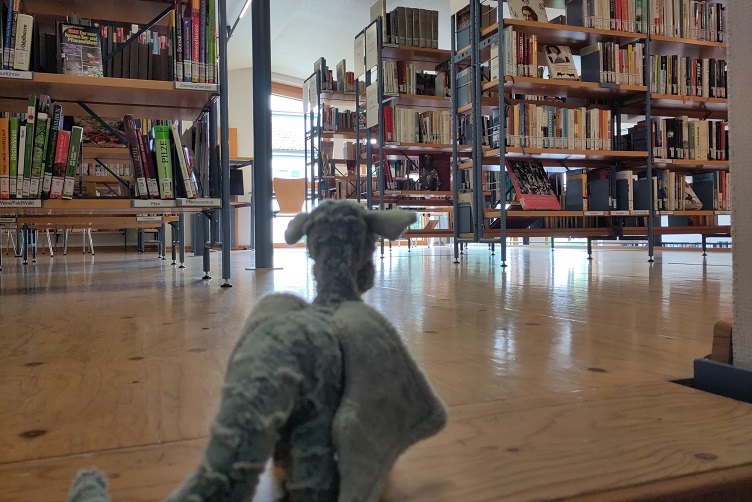 Besuch in der Dorfbibliothek