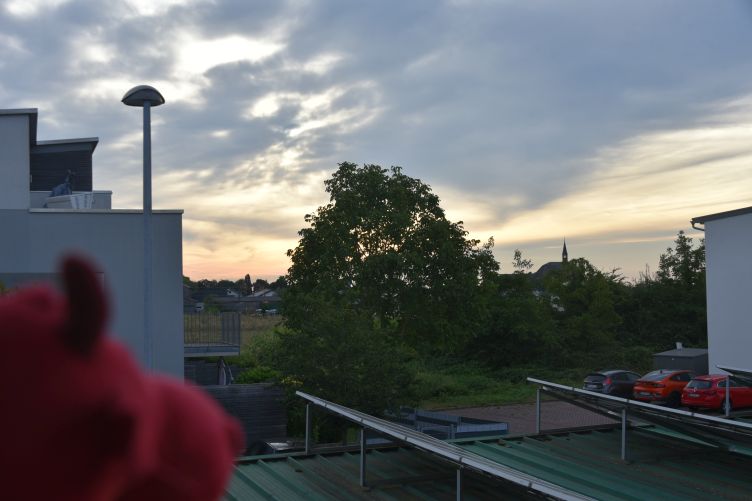 Prüfender Blick vom Terrassenbalkon