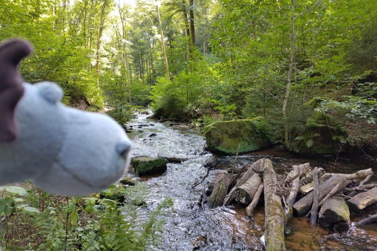 Karlstalschlucht