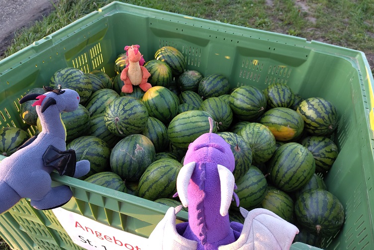 Drachis mit der Wassermelonenkiste