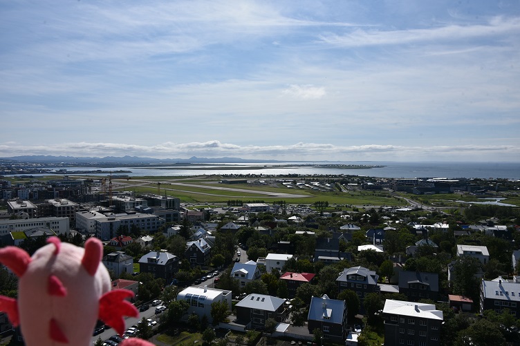 Aussicht auf Reykjavik vom Turm der Hallgrimskirkja