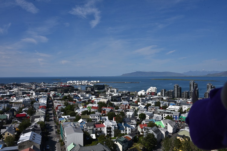 Aussicht auf Reykjavik vom Turm der Hallgrimskirkja