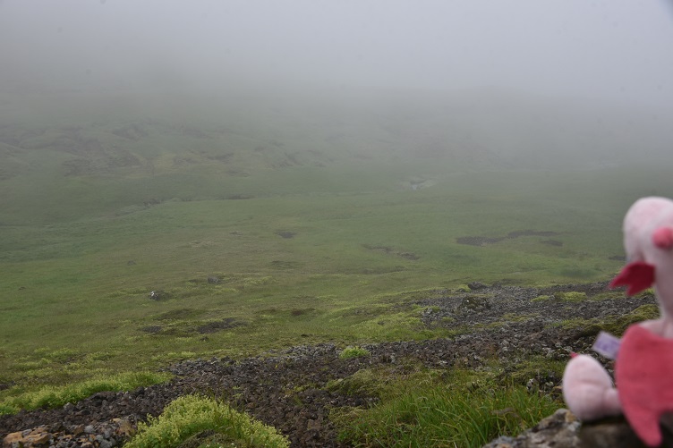 Nebel im Reykjadalur