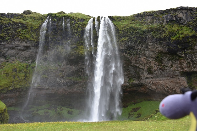 Seljalandsfoss