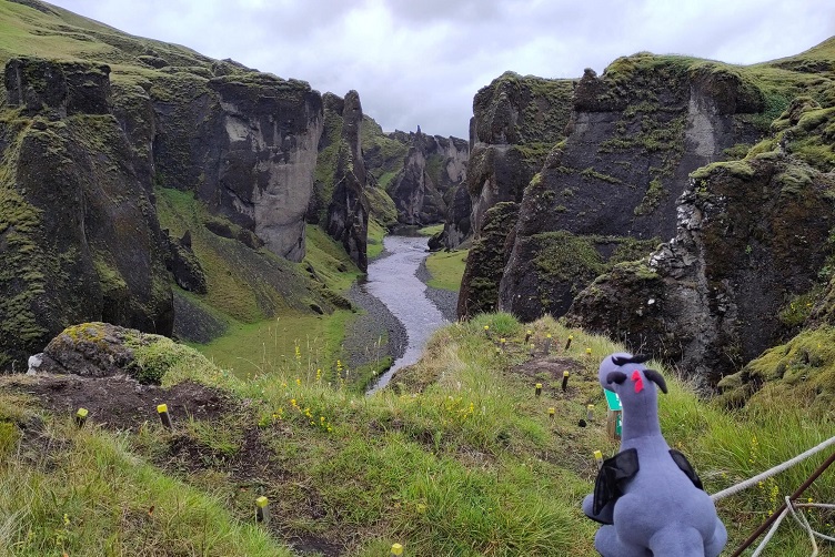 Fjaðrárgljúfur Canyon