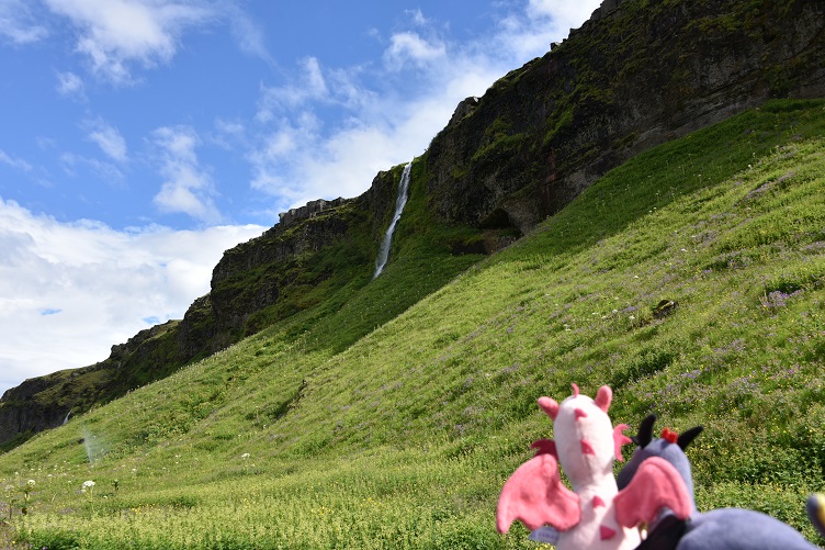 Auf dem Weg zum Gljúfrabúi oder Gljúfurárfoss