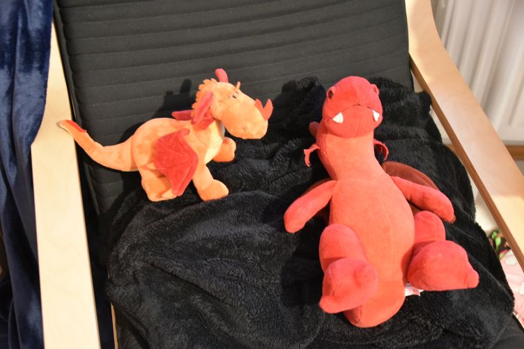 Plüschologische Sitzung mit Ruby