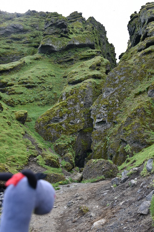 Rauðfeldsgjá Canyon