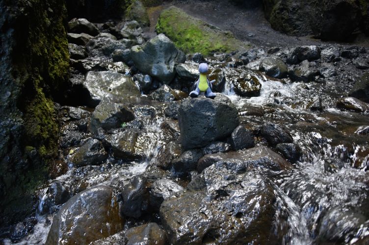 Rauðfeldsgjá Canyon