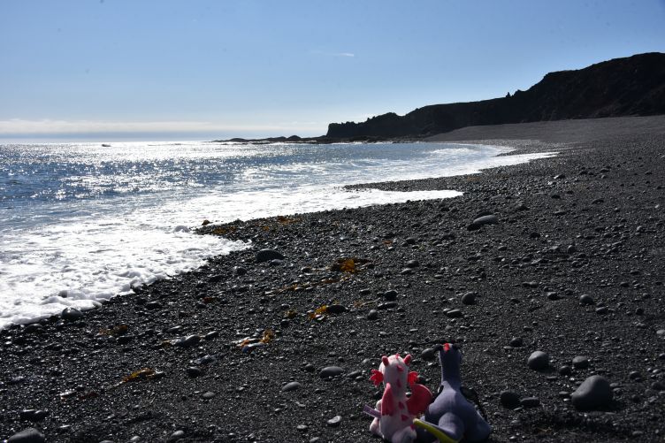 Djúpalónssandur Beach