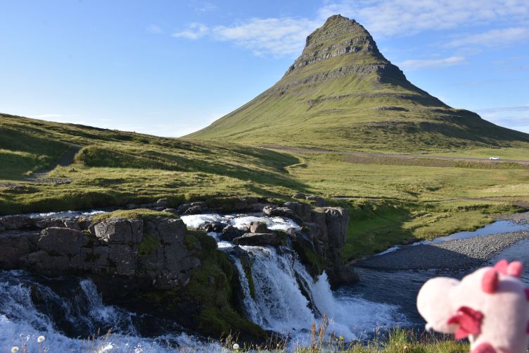 Kirkjufell und Kirkjufellsfoss