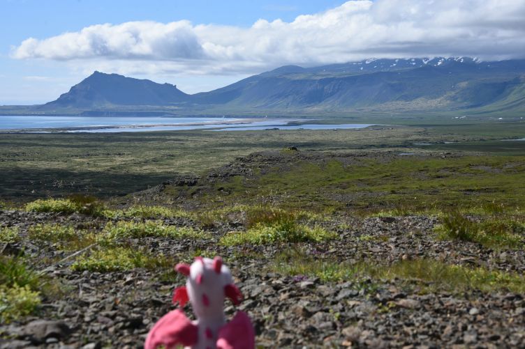 Snæfellsjökull View Point