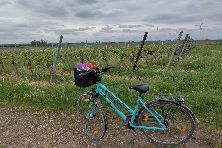 Kilometer sammeln fürs Stadtradeln