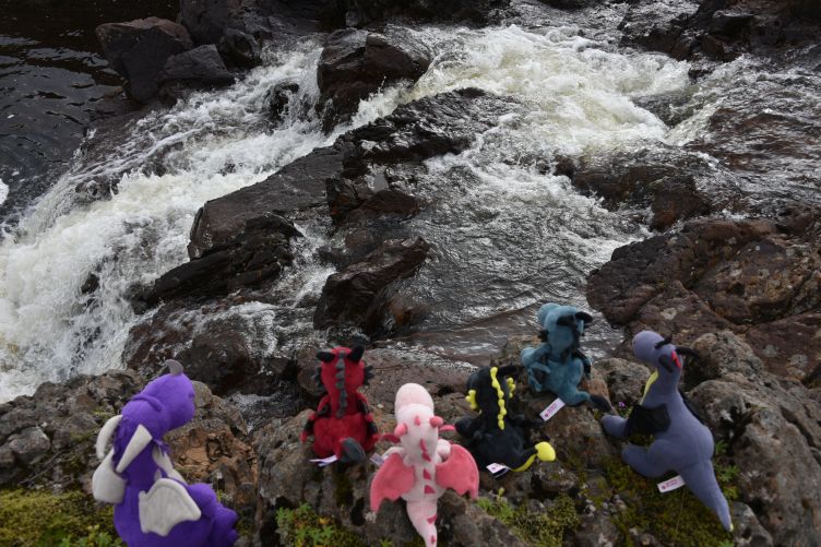 Mutprobe am Fluss