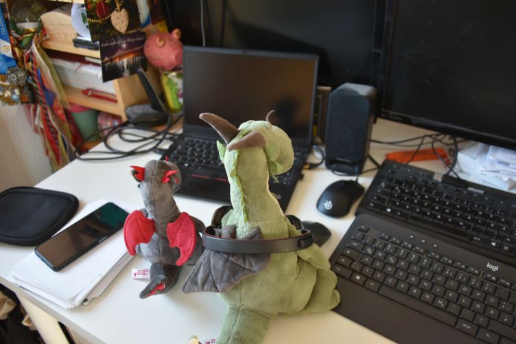 Päffchen und Nuuk unterstützen bei der Arbeit