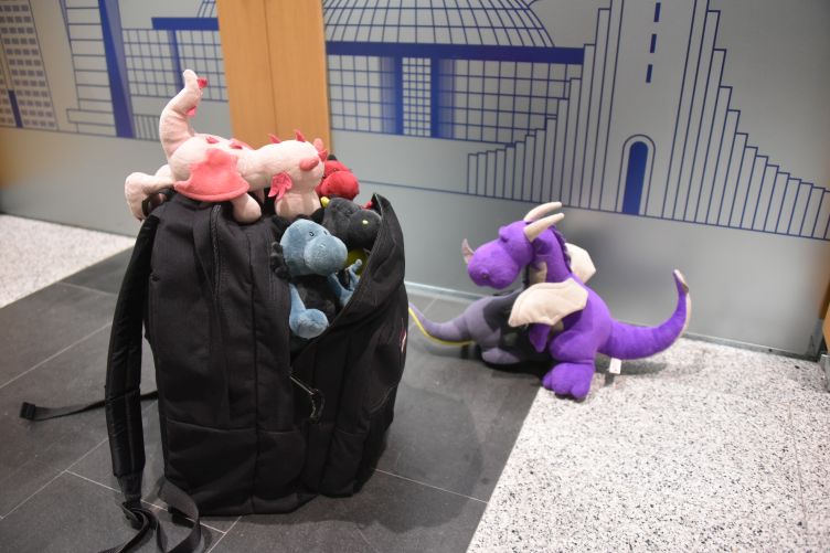 Bella lotst Askja, Reykur und Andarna in den Rucksack