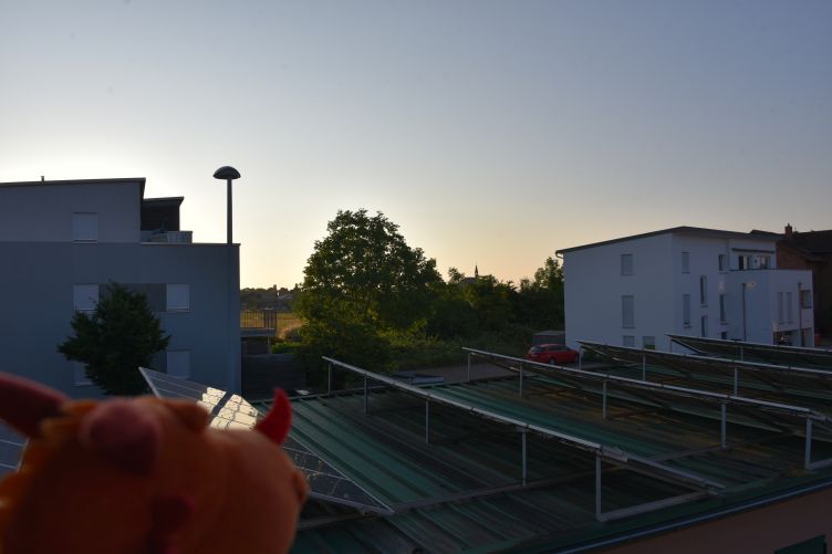Soleil überprüft auf dem Balkon das Wetter