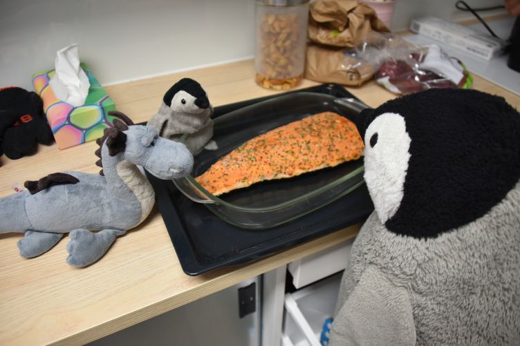 Saphira, Pimmi und Lumi bereiten Lachs zu